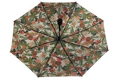Parapluie se pliant automatique de pongé de dames pour le voyage