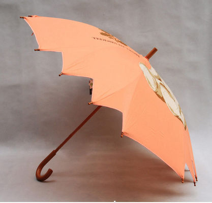 Parapluie compact en métal de TUV d'enfants extérieurs d'axe