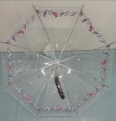 TUV POE clair ouvert automatique badine le parapluie compact 100cm