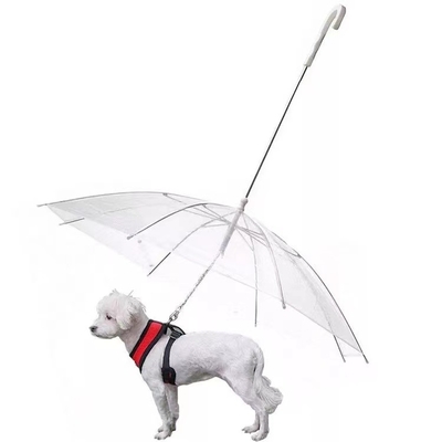 Un parapluie transparent pour les chiens pour les empêcher de se mouiller