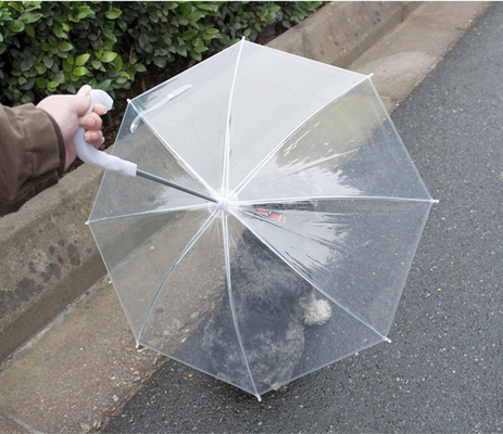 Un parapluie transparent pour les chiens pour les empêcher de se mouiller