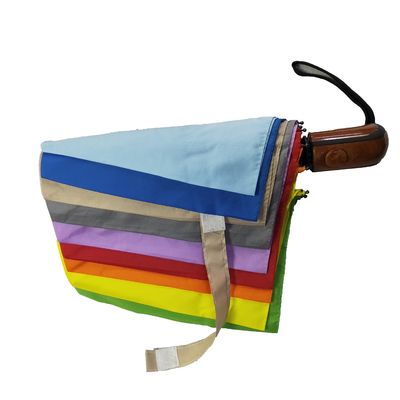 Parapluie compacte automatique pour la protection contre le vent et la pluie