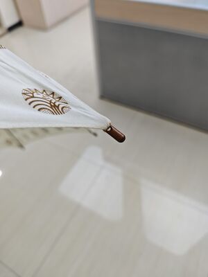 Parapluie à bâton auto-ouverte de 23 pouces avec coton et côtes en fibre de verre pour une protection contre la pluie élégante