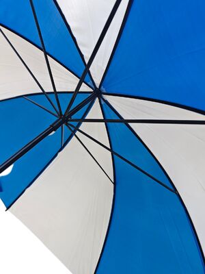 Parapluie auto-ouverte à bâton avec 23 pouces d'acier 8 structure à double côte pour une protection extérieure fiable
