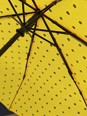 Parapluie automatique de 105 cm de diamètre ouvert avec poignée en caoutchouc et longueur pliée de 26 cm pour une portabilité facile